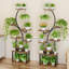 Support pour plante d'intérieur avec culture de lumière - Ensemble de 2 grandes tablettes d'intérieur pour plantes, support pour plante d'angle 62 po, grande tablette à multiples niveaux en forme de S pour la maison, le bureau
