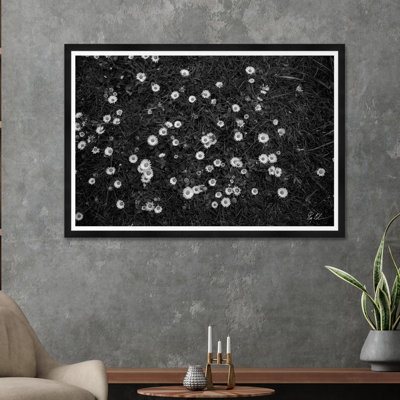 Champs de fleurs blanches