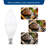 60 Watt LED Non-Dimmable Light Bulb E12/Candelabra-61371155