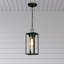 Lanterne suspendue d’extérieur 1 ampoule H 15 po DaMarcus-300259581