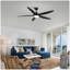 Ventilateur de plafond noir 56 pouces avec lumière