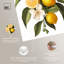 «Lemon and Leaf Fusion I», impressions sur toile par Art Remedy-110304334-110304332