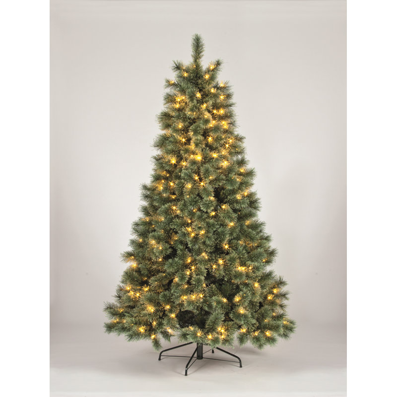 Lighted Artificial Spruce Christmas Tree, 210cm H x 122cm W x 122cm D