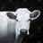 cow - 32"x32" art on canvas