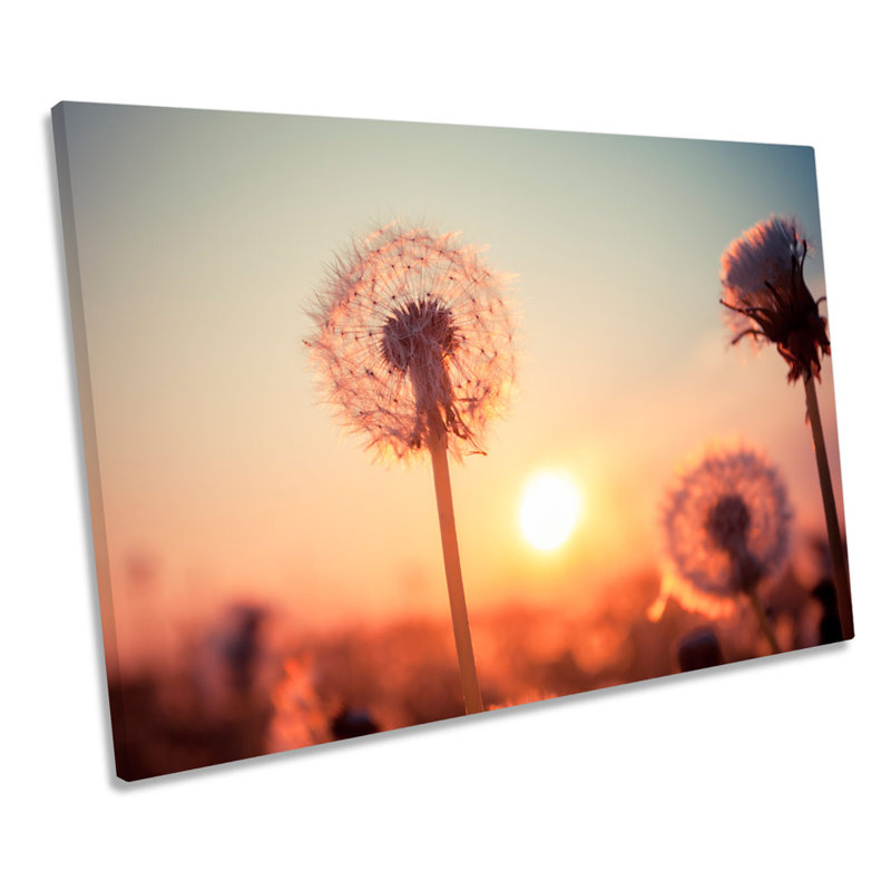 Dandelion Floral Sunset - Wrapped Canvas Print, 91.4cm H x 137.2cm W x 4cm D