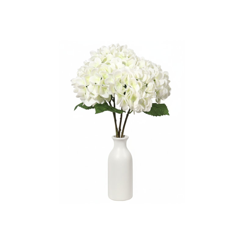 Tige d'hortensia 18 po 18 po - 6 po de diamètre - paquet de 12
