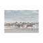 White Angels Of Camargue XXVI by Daniel Kordan - Print on Canvas-1101828429-1101828430