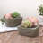 Geet Planter Box