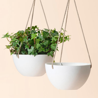 Boxdale Hanging Planter - Set of 2