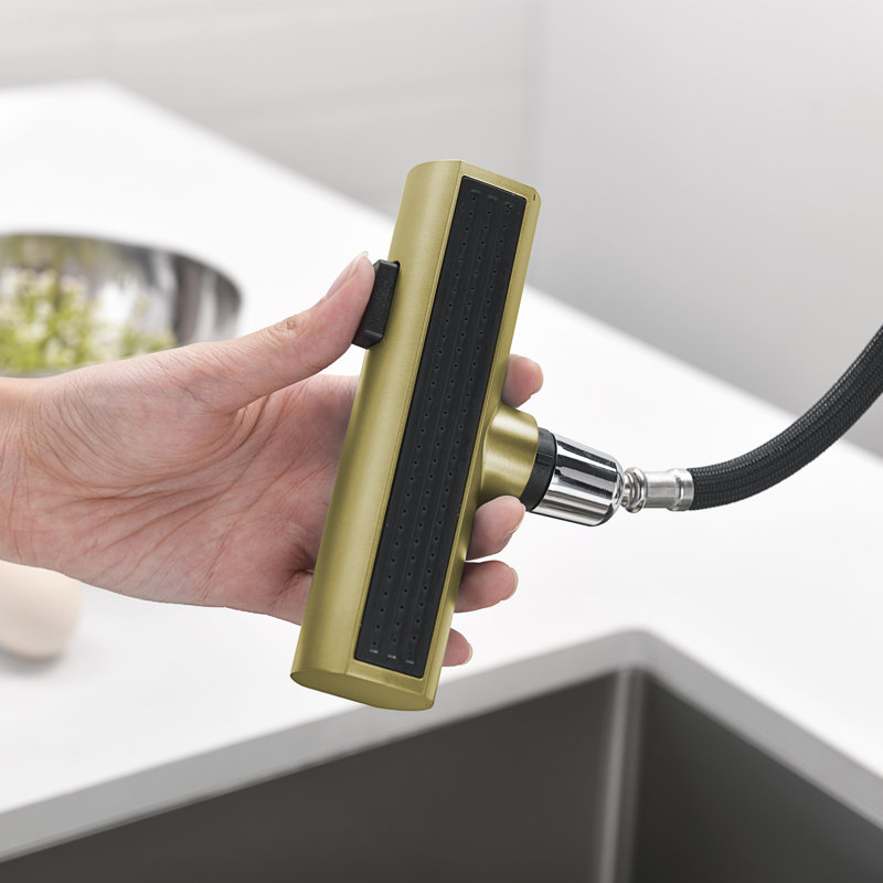 Single Handle Kitchen Faucet with Accessories, Brushed Gold