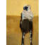 Ancient Astronaut Print by Calyton Rabo-26930882-26930881