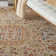 Vetri Oriental Indoor Rug