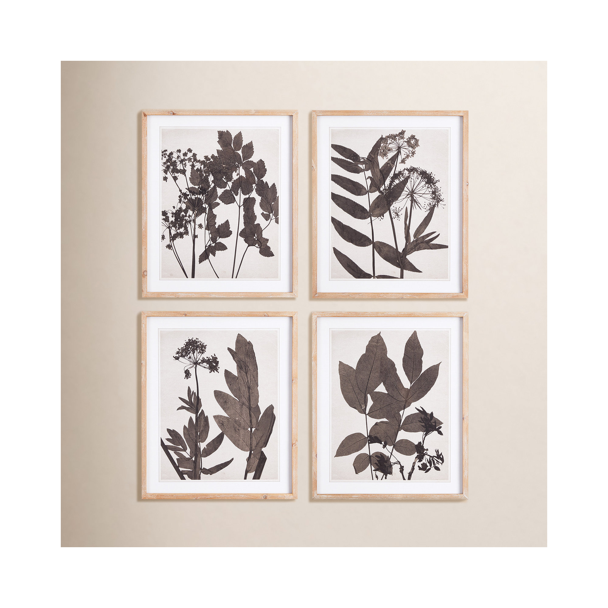 Pressed Foliage Prints, Set of 4