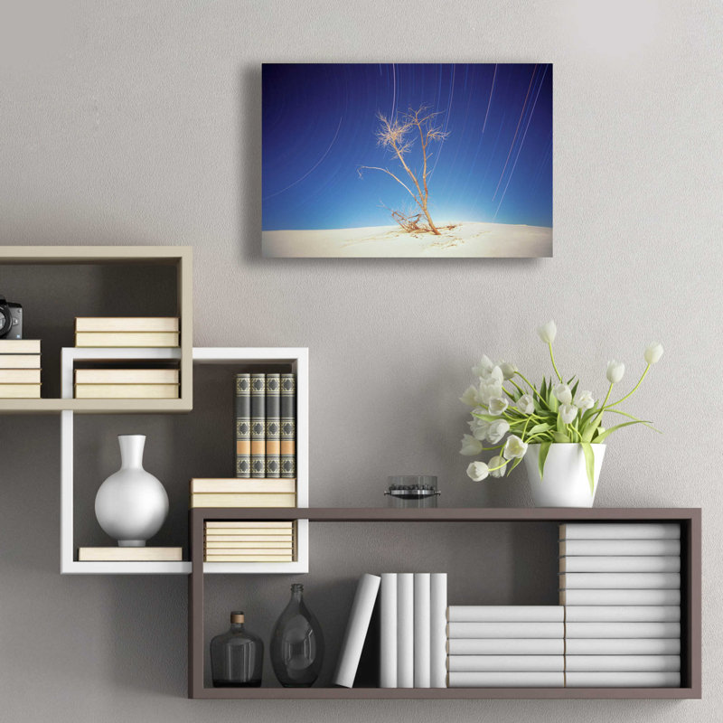 «Bright Cottonwood Drum Scan» par Thomas Haney, art mural en verre acrylique, H 12 po x l 16 po x P 0,13 po