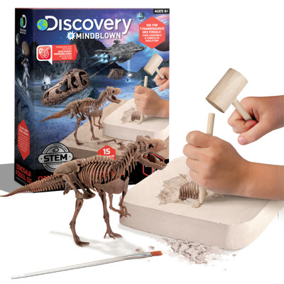 Dinosaur Excavation Kit Skeleton 3D Puzzle