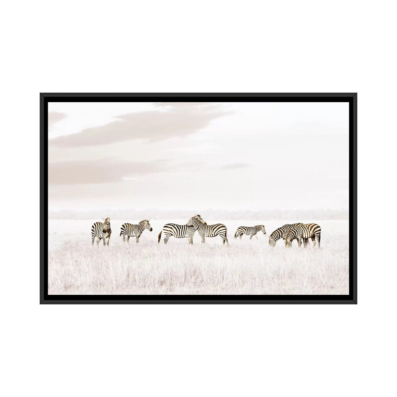White Zebras by Klaus Tiedge - Print on Canvas, 66.04 cm H x 45.72 cm W, Black Framed