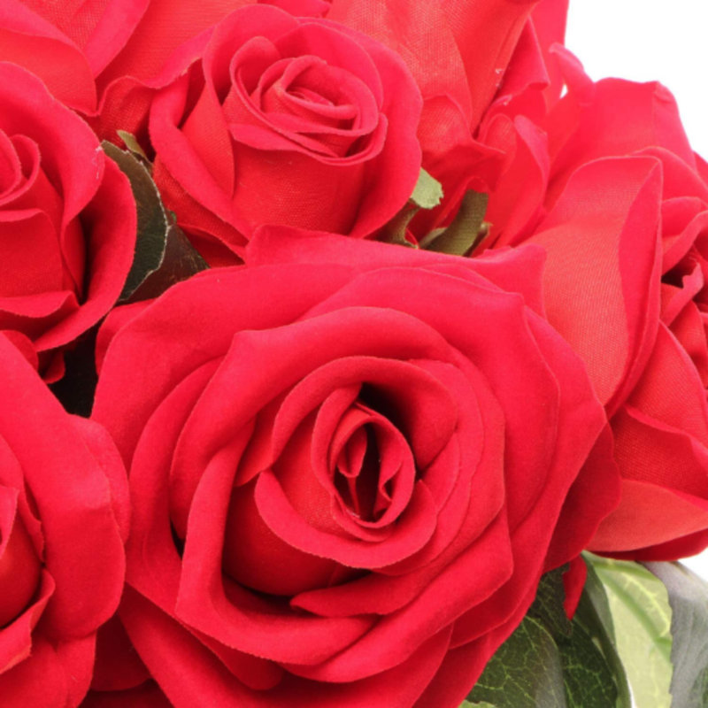 Tige de roses