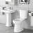 Two-Piece Toilets Excludes Cover Plate with Soft-Close Seat for Bathrooms (without Lid)
