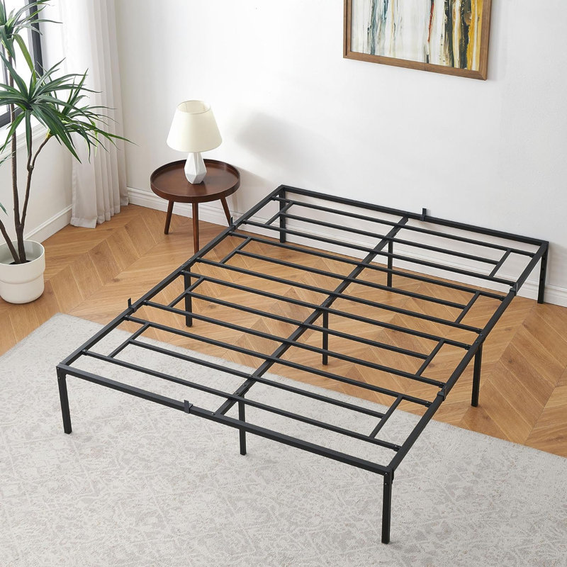 Degennaro 14, Full XL