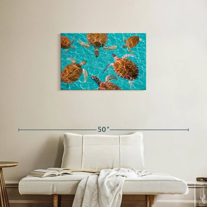 Bramt, tortues de la Riviera Maya, H 20 po x l 30 po