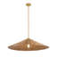 Luminaire suspendu réglable en hauteur à 1 lumière Lilliana-156787313-156787326