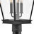 Chapel Hill Museum Black 1-Light 26.5" H Hardwired Lantern Head