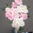 Rose vif
