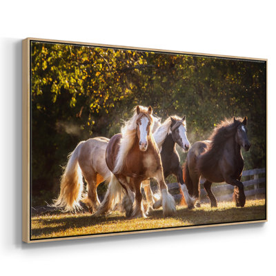 " Sunlit Horses III "