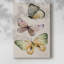 Fly Away I -Gallery Wraraped Cavas-748372923