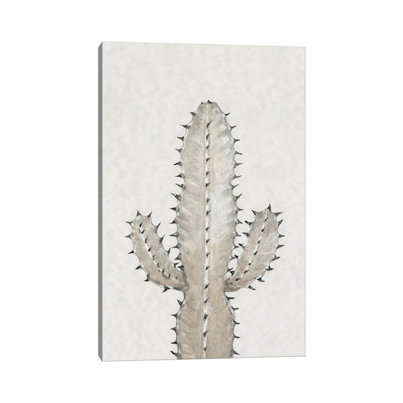 Cactus Study I by Tim OToole - No Frame Gallery-Wrapped Canvas Giclée on Canvas, 101.6cm H x 66.04cm W