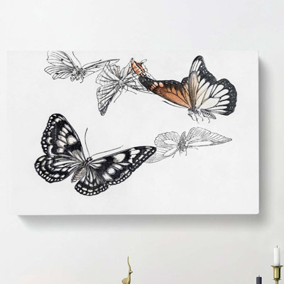 Butterfly Illustration by Morimoto Toko - Wrapped Canvas Painting