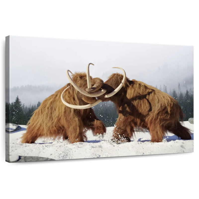 Brampt Fighting Woolly Mammoths, H 20 po x l 30 po