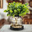 Vase rustique en verre rustique avec eucalyptus artificiel et lumières, (noir)-1250115198