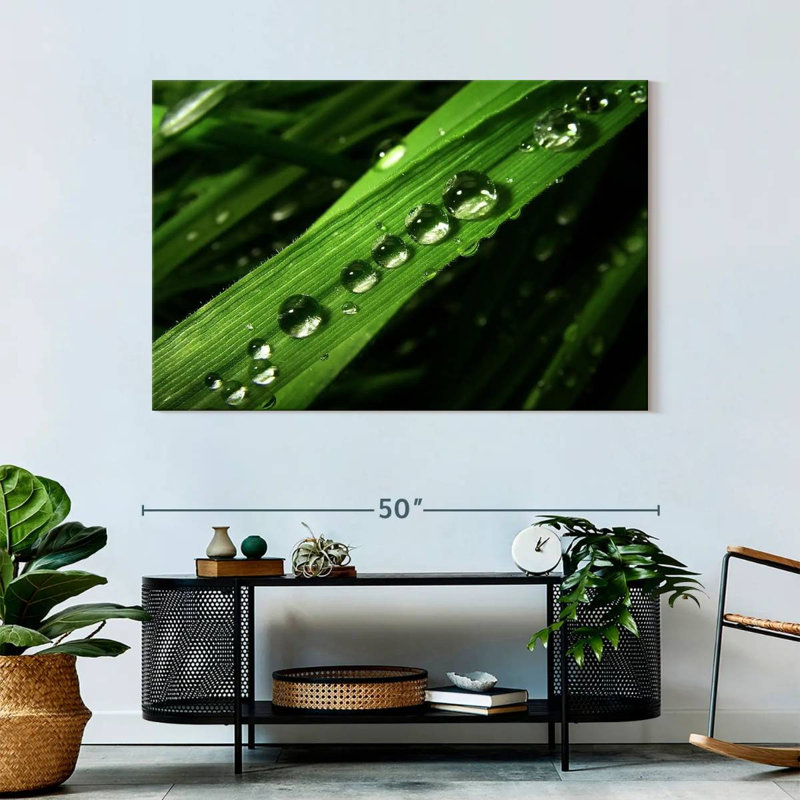 Harnek Water Drops On Leaf, 32'' H x 48'' W