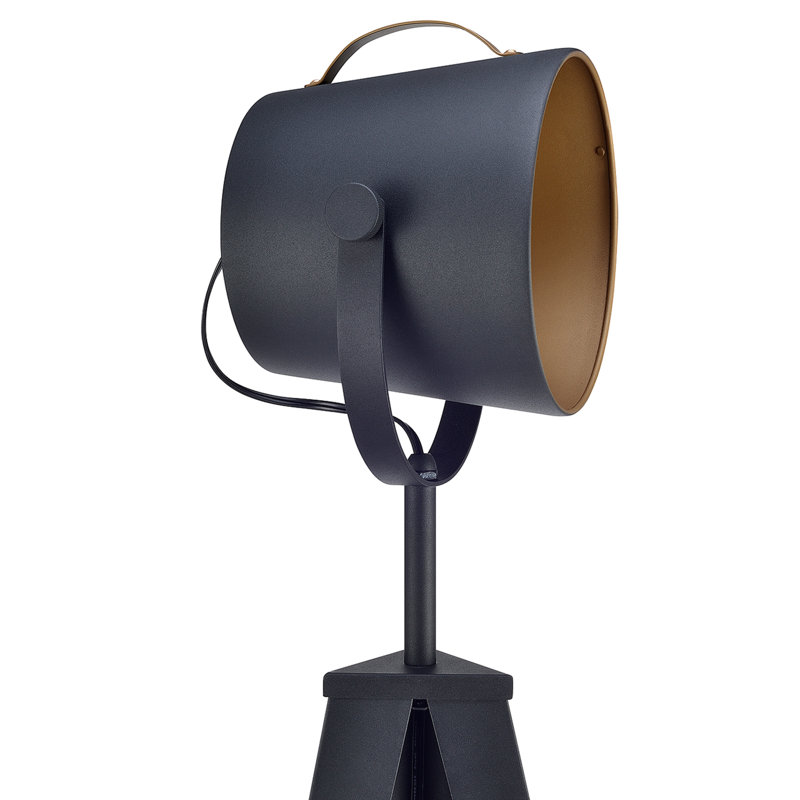 Carr 158cm Black Tripod Floor Lamp, Black/Gold