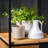 Aurrie Lola Handled Ceramic Jar
