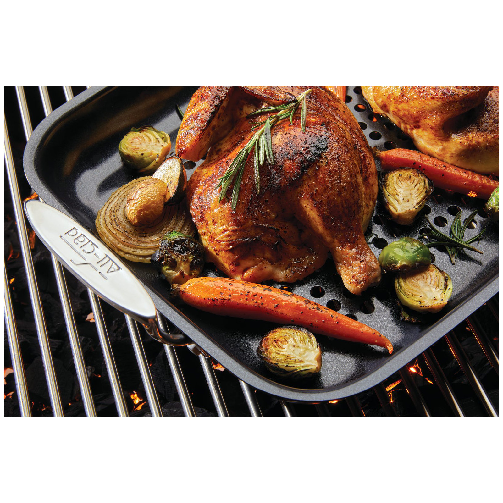 ALL-CLAD Nonstick Outdoor Roaster