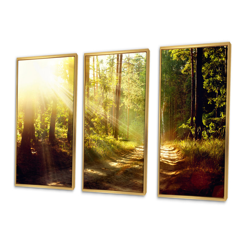 Rayons de soleil qui brille à travers le brouillard dans la vieille forêt - ensemble de 3 toiles encadrées, Or