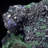 Calea Landscape & Nature Crystal