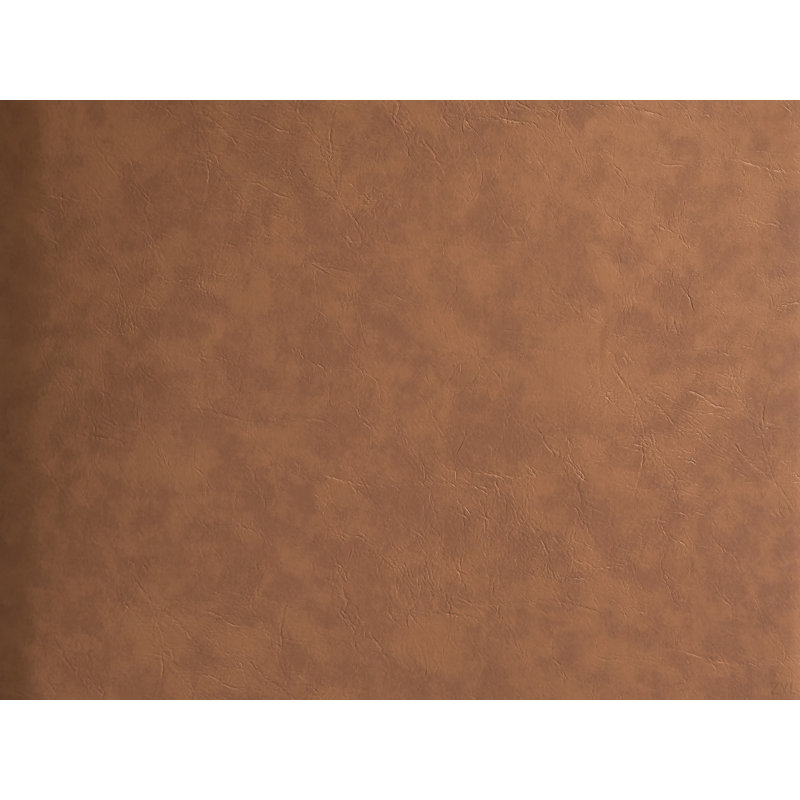 Ensemble de 2 chaises d'appoint à boucle blanche, velours brun et finition noyer