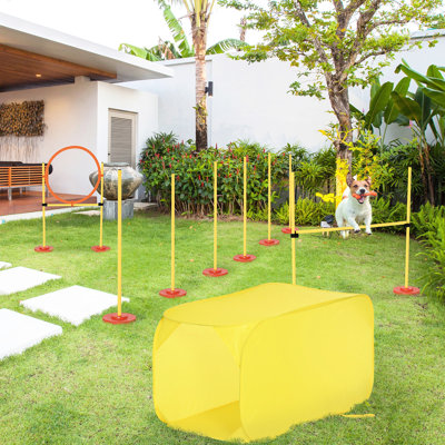 Dog Agility Training Articles: 4 Yellow Abs - Tunnel, Hurdle, Hoop, Weave Poles Group With Carry Case: In