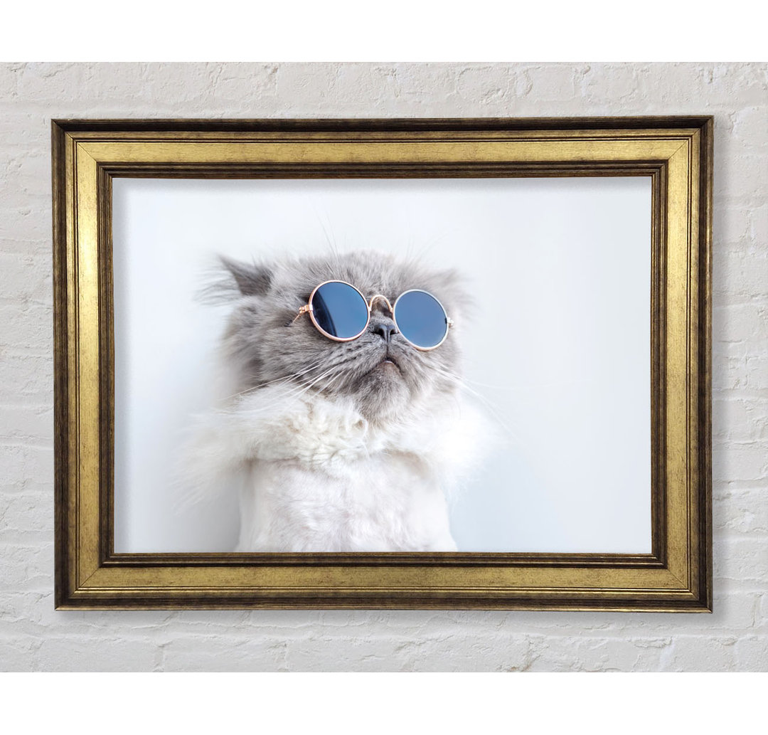 Die Katze mit Brille Gerahmter Druck