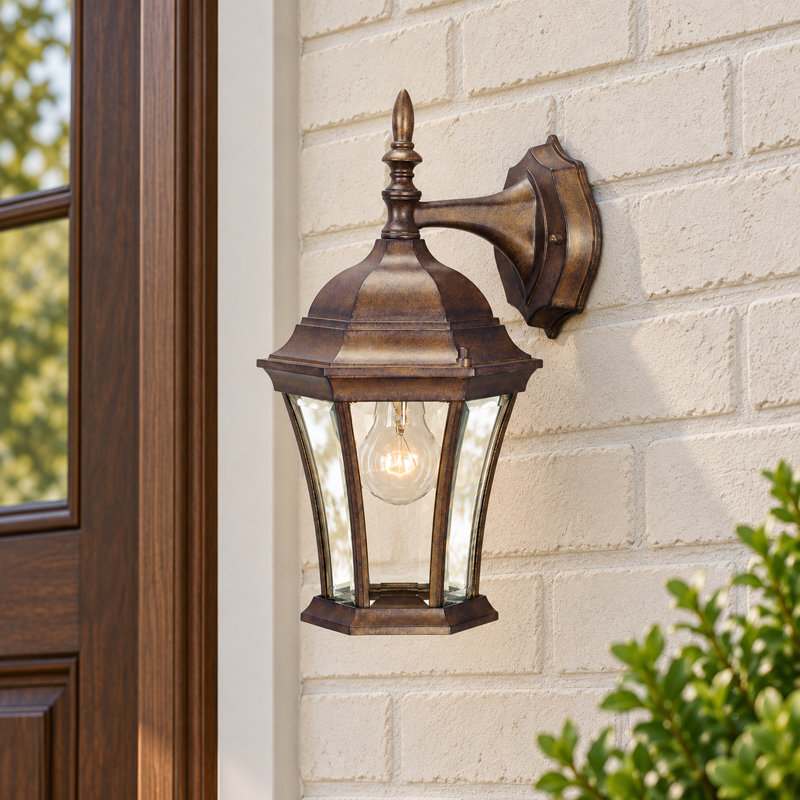 Francesca Lane Metal Wall Light, Burled Walnut