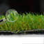Bronti 35mm Premium Quality Artificial Grass, Fake Grass For Patio-5m(16'4") X 4m(13'1")-20m²