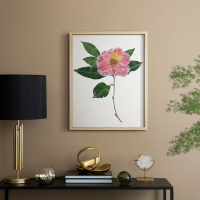 PressedCamelliaI Framed Print - Solid Wood