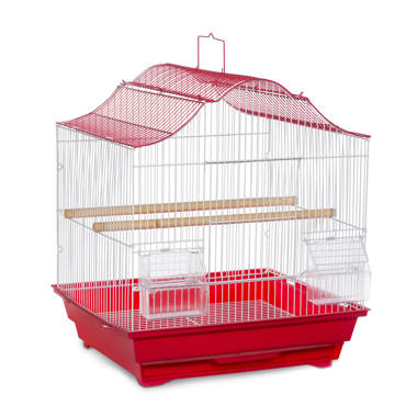 Tucker Murphy Pet™ Ciani 24'' Plastic Dome Top Hanging Bird Cage with Perch  & Reviews