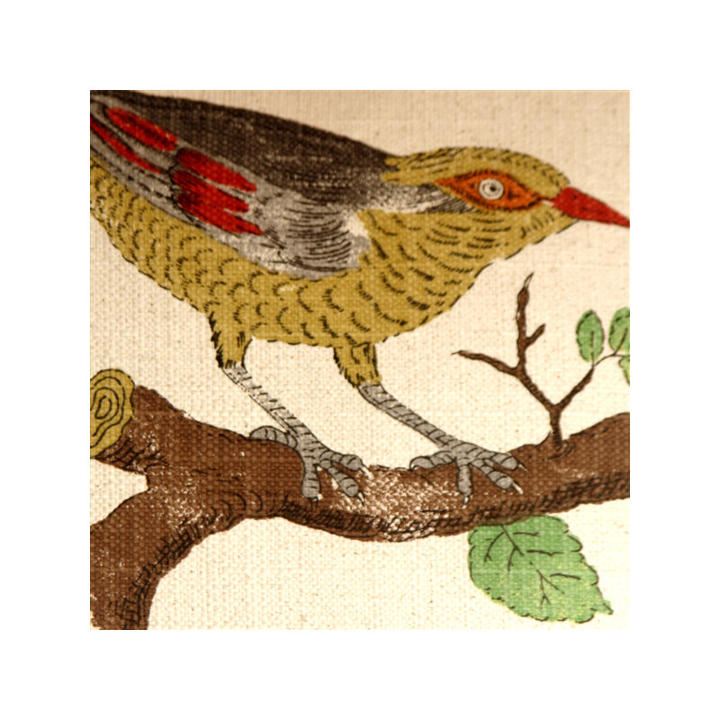 Coussin Bird
