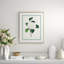 Flora III Giclee Print
