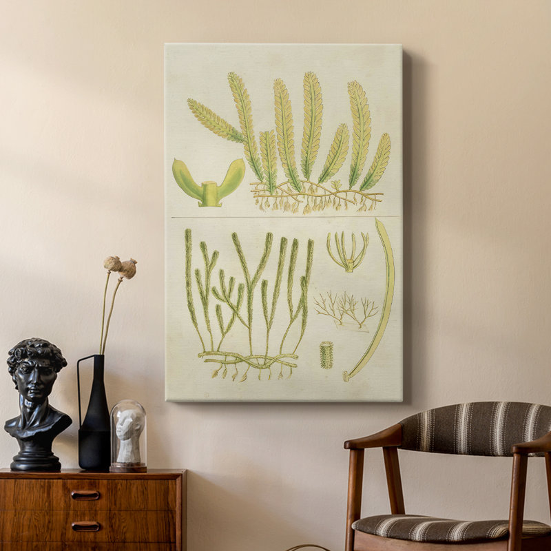 Herbe de mer en V rétro - galerie Cavas sur mesure, H 48 po x l 32 po