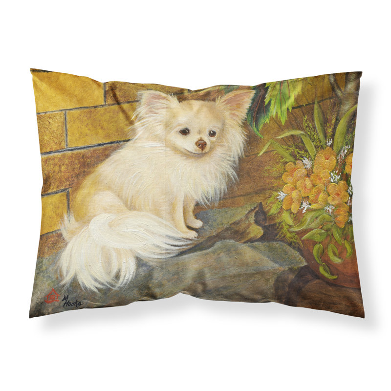 Taie d’oreiller chihuahua seulement épanouie